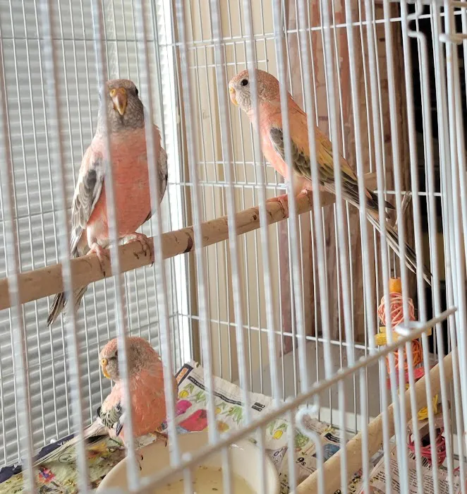 Bloomingrove Veterinary Hospital Picture 9