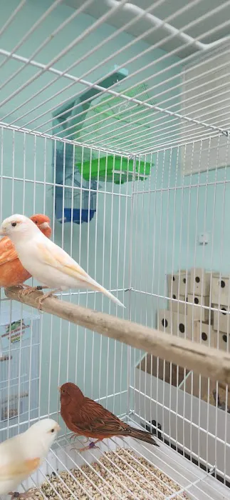 Abriana's Pet Shop Picture 3