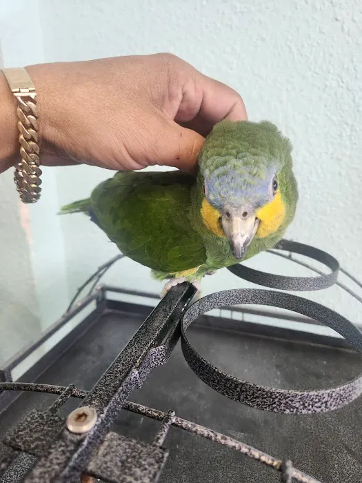 Abriana's Pet Shop Picture 10