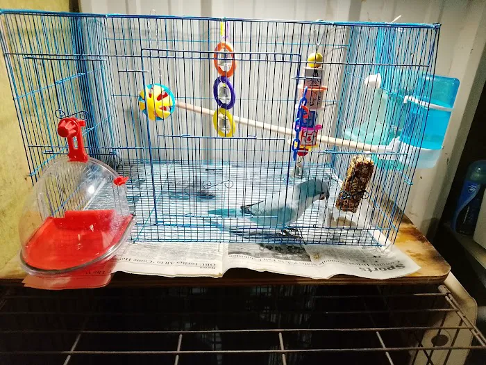 Abriana's Pet Shop Picture 2