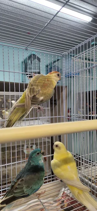 Abriana's Pet Shop Picture 4