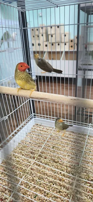 Abriana's Pet Shop Picture 7