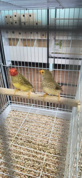 Abriana's Pet Shop Picture 6