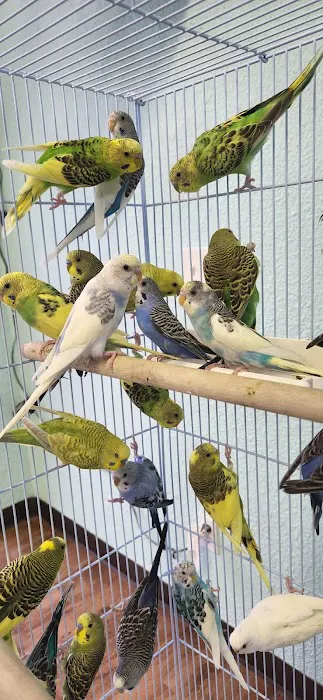 Abriana's Pet Shop Picture 1