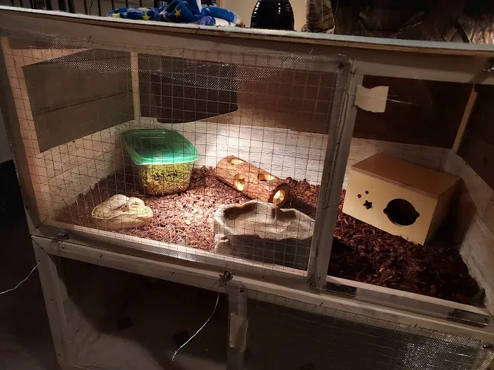 Wilbanks Captive Bred Reptiles Picture 4