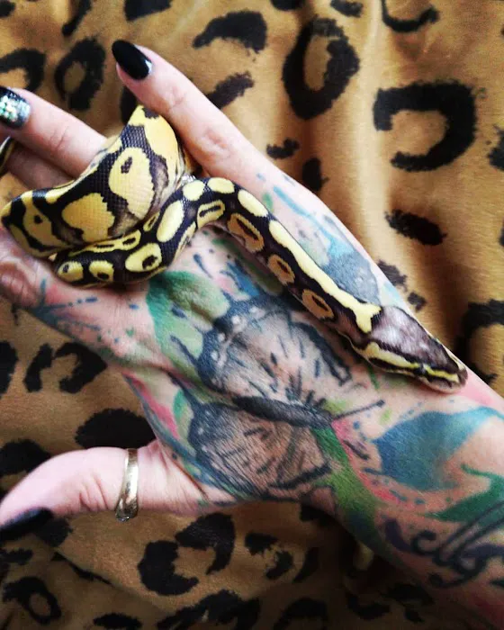 Wilbanks Captive Bred Reptiles Picture 9