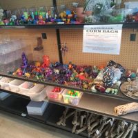 Anything For A Bug LLC Pet Shop ico