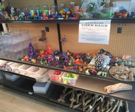 Anything For A Bug LLC Pet Shop