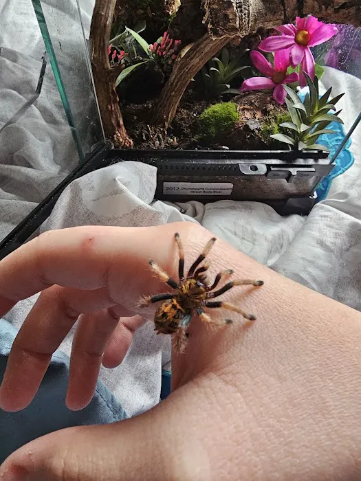 Anything For A Bug LLC Pet Shop Picture 9