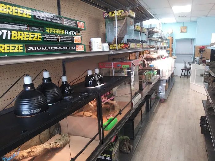 Anything For A Bug LLC Pet Shop Picture 10