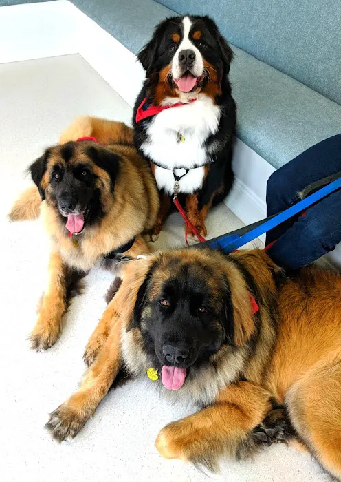 Delmar Animal Hospital Picture 5