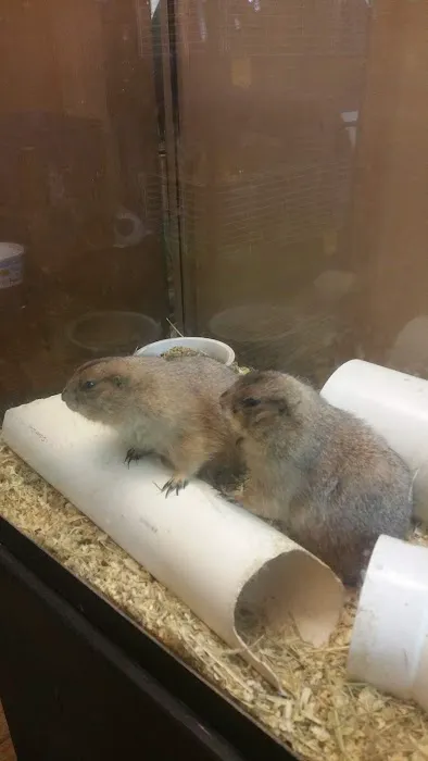 Pet Lovers Pet Shop and Grooming Picture 6