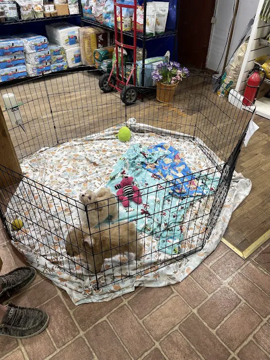 Pet Lovers Pet Shop and Grooming Picture 2