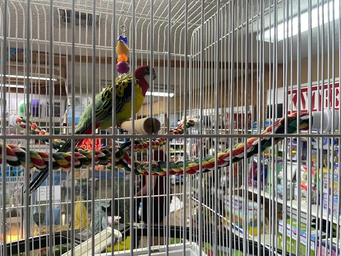 Pet Lovers Pet Shop and Grooming Picture 5