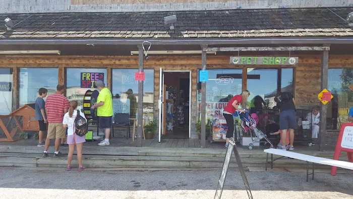Pet Lovers Pet Shop and Grooming Picture 1