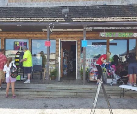 Pet Lovers Pet Shop and Grooming
