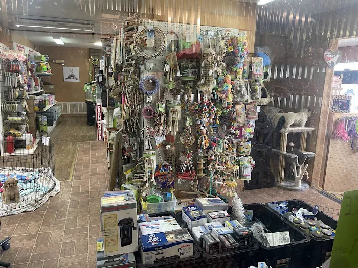 Pet Lovers Pet Shop and Grooming Picture 10