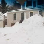 Pembroke Animal Hospital: Luksic Rachel DVM