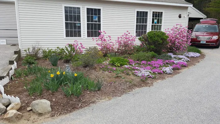 Pembroke Animal Hospital Picture 5