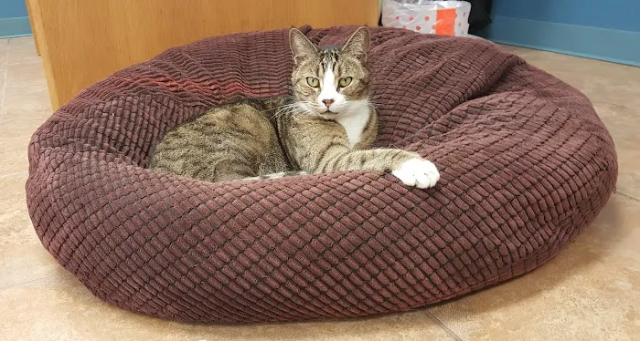Pembroke Animal Hospital Picture 9