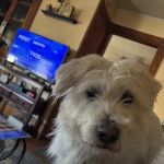 Smiley Veterinary Clinic