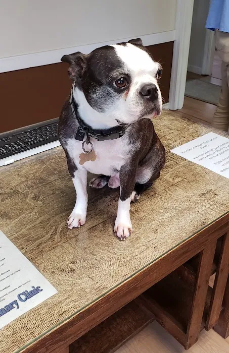 Smiley Veterinary Clinic Picture 2