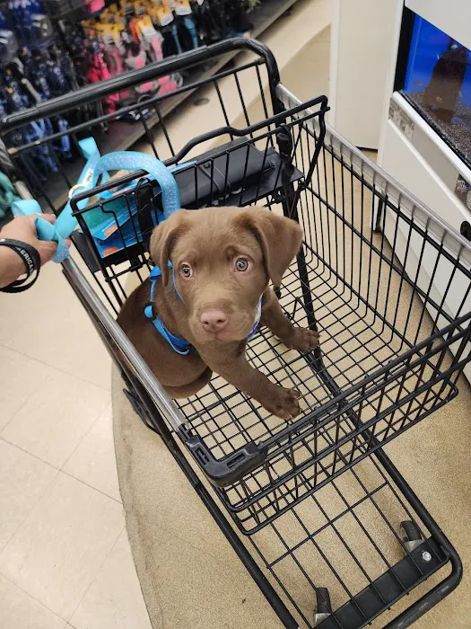 Petco Picture 7