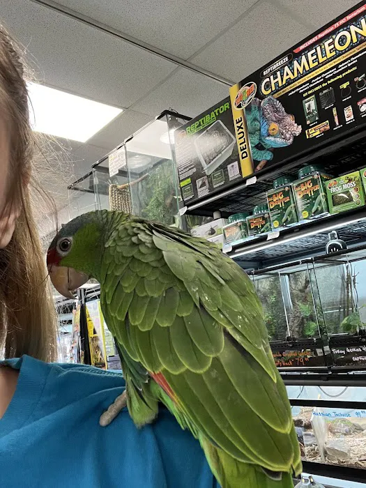 Cat's Critters: Exotic Pets Picture 2