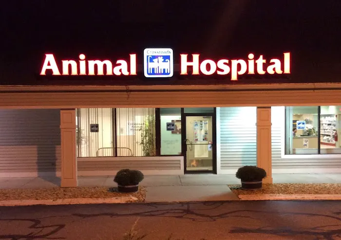 Crossroads Animal Hospital Picture 3