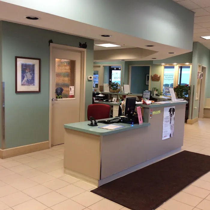 Crossroads Animal Hospital Picture 2