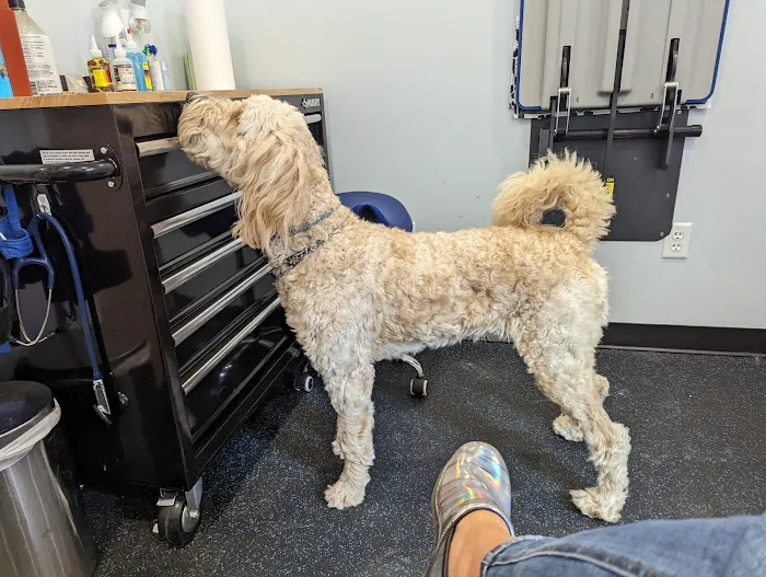 Healthy Heart Veterinary Clinic Picture 4