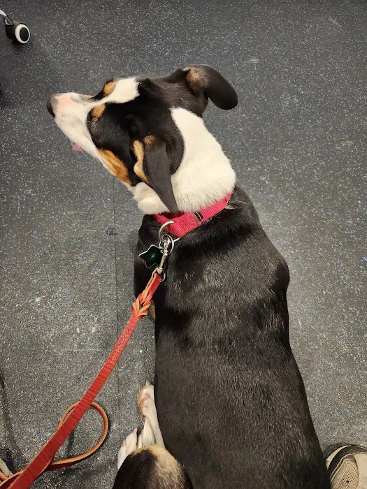 Healthy Heart Veterinary Clinic Picture 9