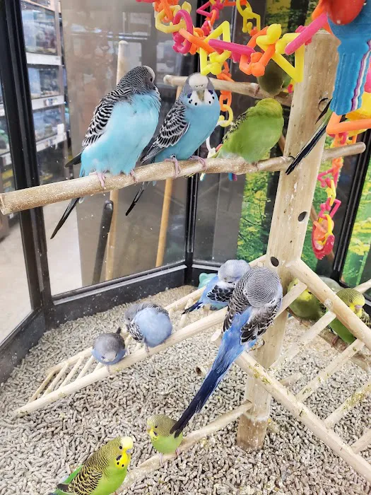 Petco Picture 1