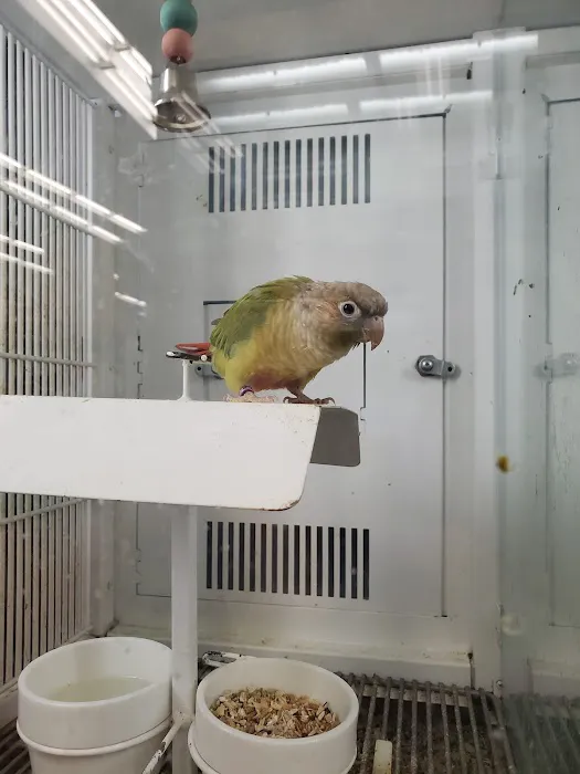 Petco Picture 2