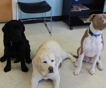 Lake Side Animal Hospital-Tilton