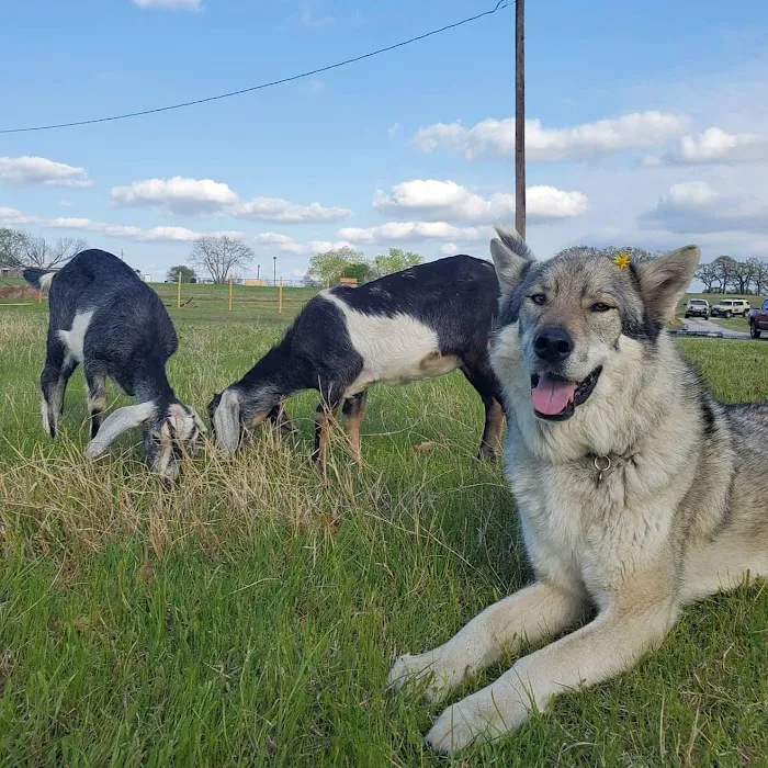 Stoney Brook Veterinary Hospital Picture 6