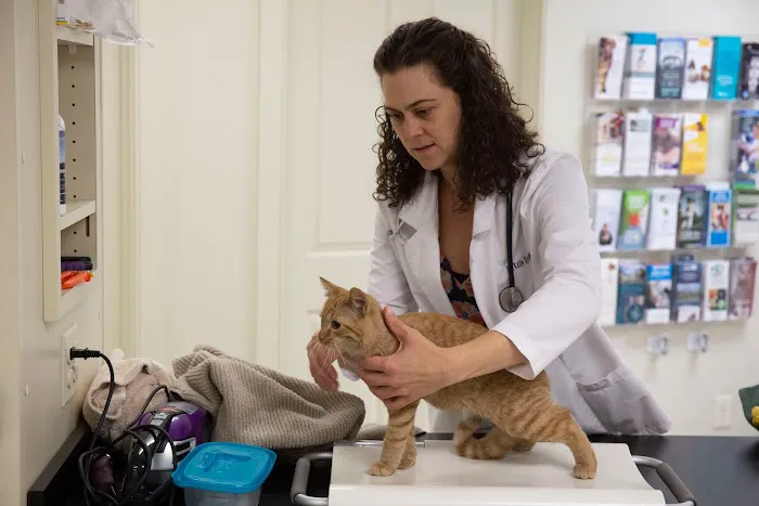 Stoney Brook Veterinary Hospital Picture 5