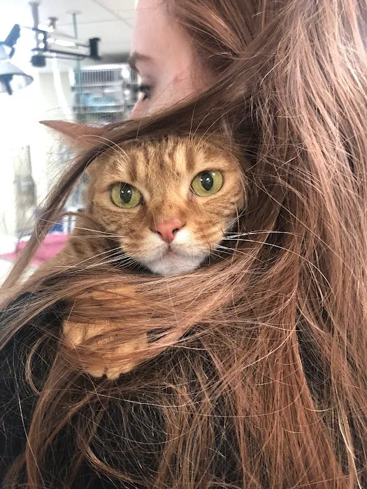 Stoney Brook Veterinary Hospital Picture 9