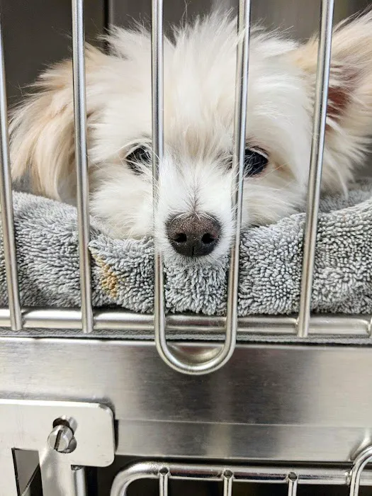 Stoney Brook Veterinary Hospital Picture 10