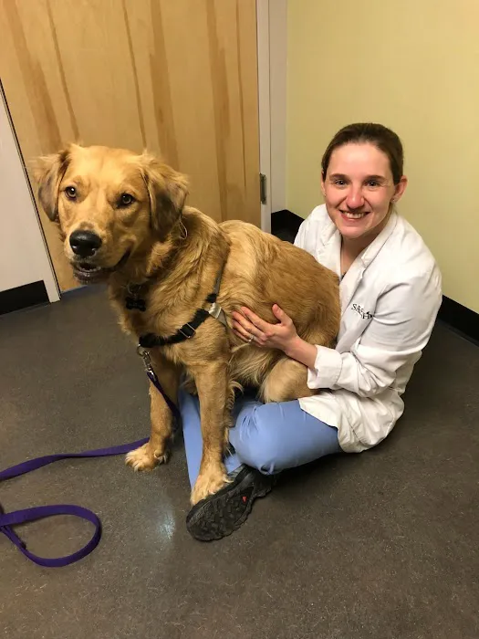 Stonecliff Animal Clinic of New Hampshire Picture 5