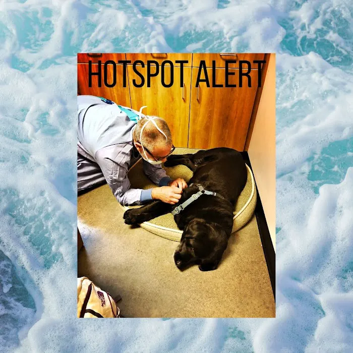 Stonecliff Animal Clinic of New Hampshire Picture 8