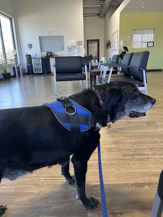 SAVES - Small Animal Veterinary Emergency & Specialty Picture 4