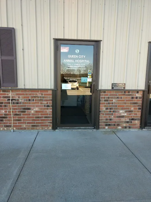 Queen City Animal Hospital Picture 1