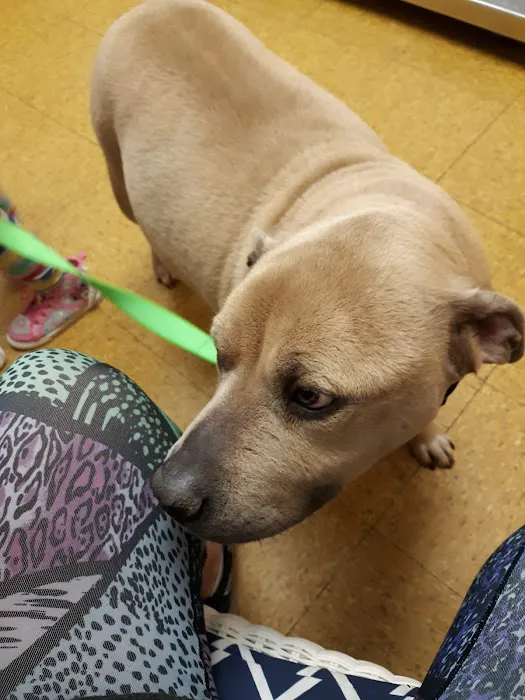 Hooksett Veterinary Clinic Picture 1