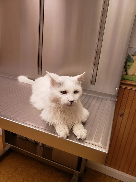 Hooksett Veterinary Clinic Picture 2