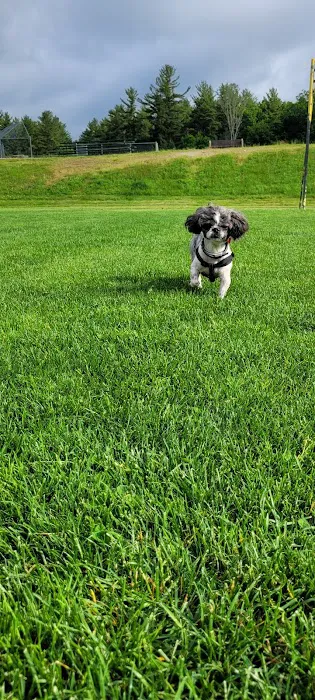 Hooksett Veterinary Clinic Picture 8