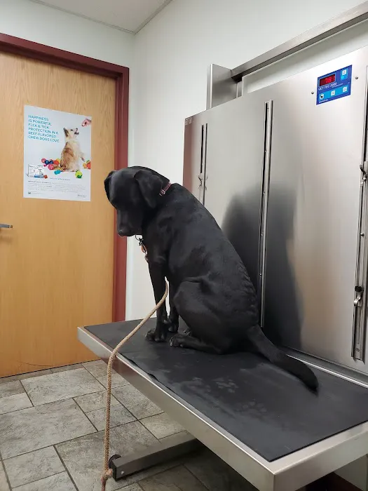 Tower Hill Animal Hospital Picture 1