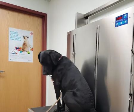 Tower Hill Animal Hospital