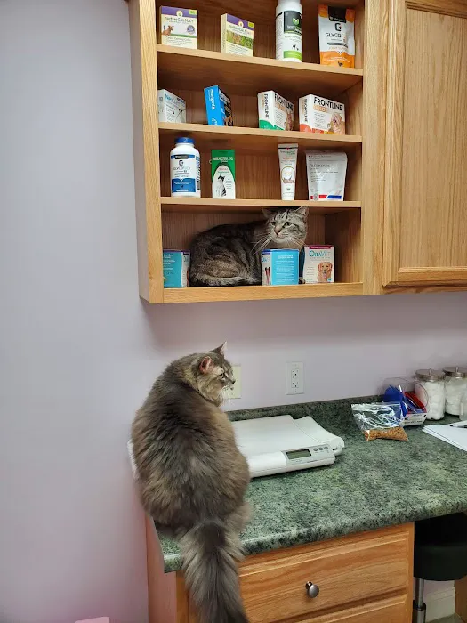 Tower Hill Animal Hospital Picture 8