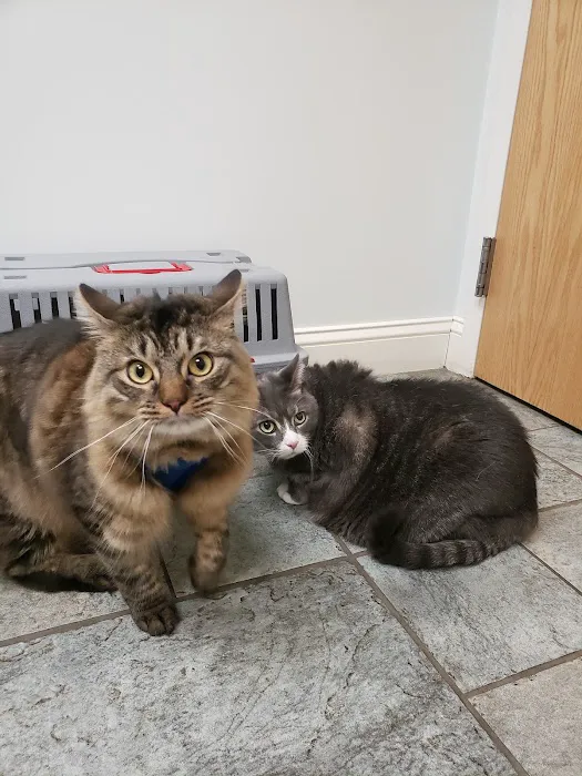 Tower Hill Animal Hospital Picture 7